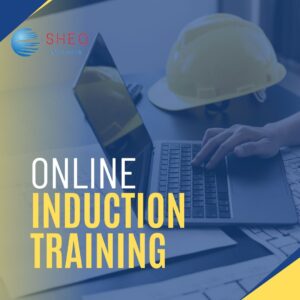 Online Induction training