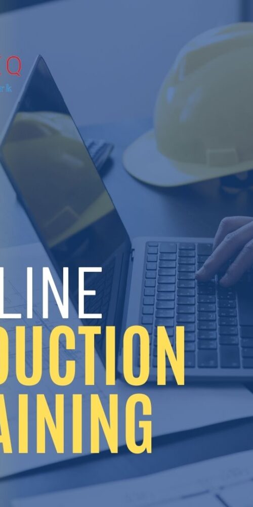 Online Induction training