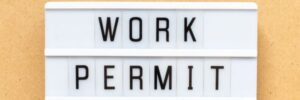 Work Permit Software